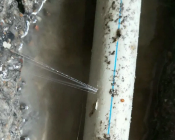 洮南卫生间测漏水多少钱